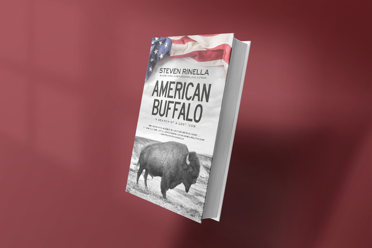 American Buffalo: In Search of a Lost Icon