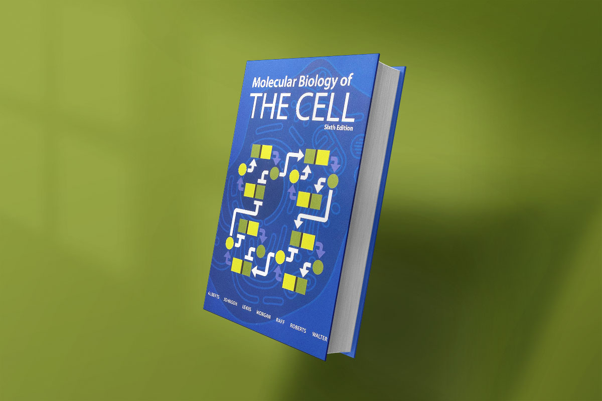 Book cover of Molecular Biology of the Cell (Sixth Edition), featuring a blue background with abstract cellular diagrams and molecular flowcharts in yellow and white. Authors listed along the bottom edge.